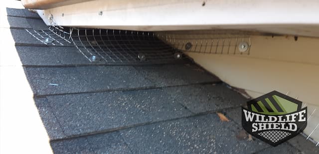 Roof Soffit Exclusion