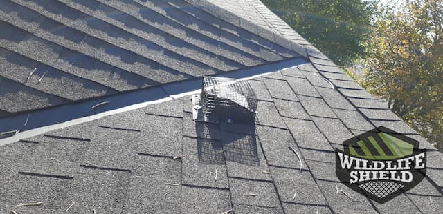 Roof vent Cover
