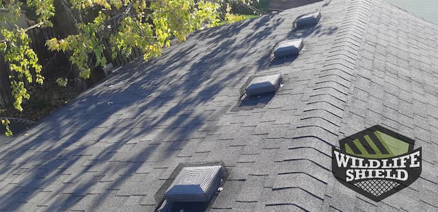 Roof Vent Covers