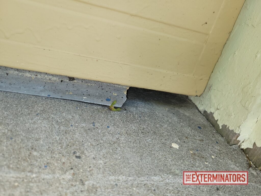 Entry Point Under Front Door