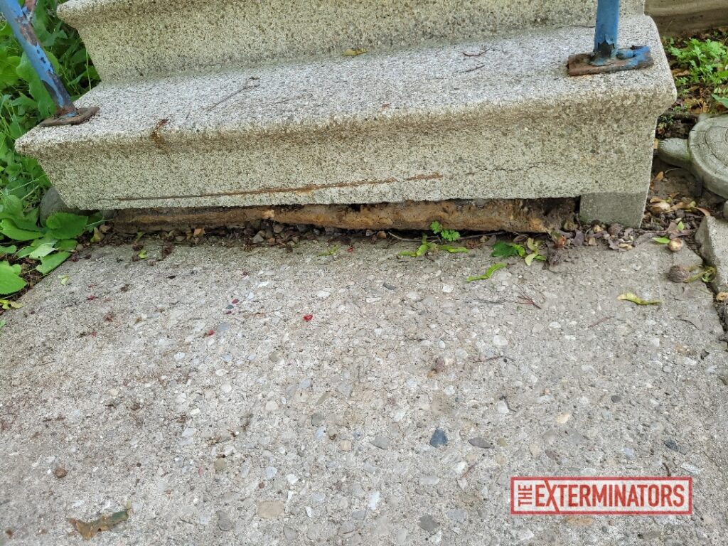 Entry Point under from steps